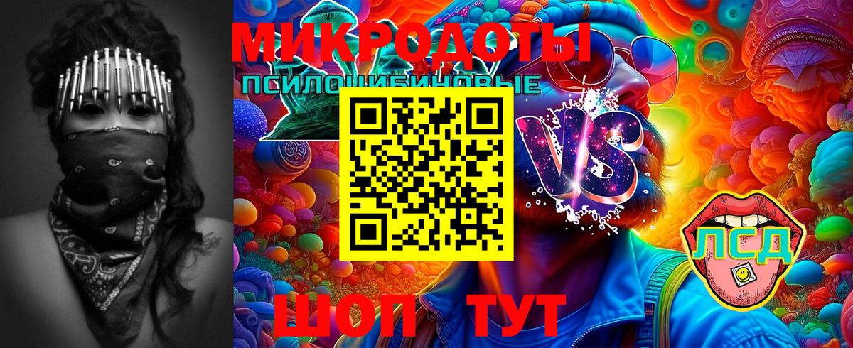 что такое наркотик  Вход с VPN  Галлюциногенные грибы GOLDEN TEACHER  Зеленогорск  Псилоцибиновые грибы MAGIC MUSHROOMS 
