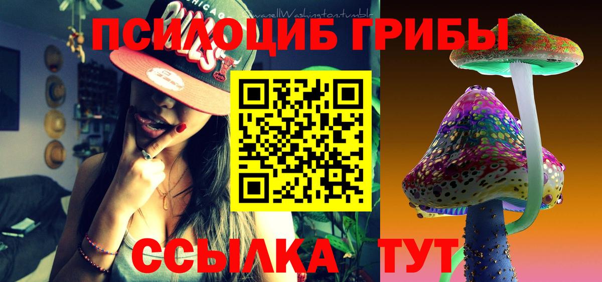 Галлюциногенные грибы Psilocybe Зеленогорск